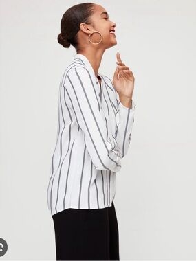 Babaton Aritzia Striped Akira Blouse